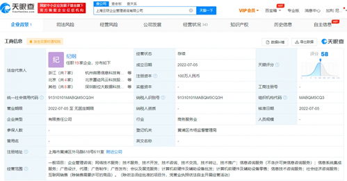 蚂蚁集团在上海成立企管咨询公司