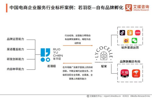 艾媒咨询 2021年中国电商领域企业服务行业专题研究报告